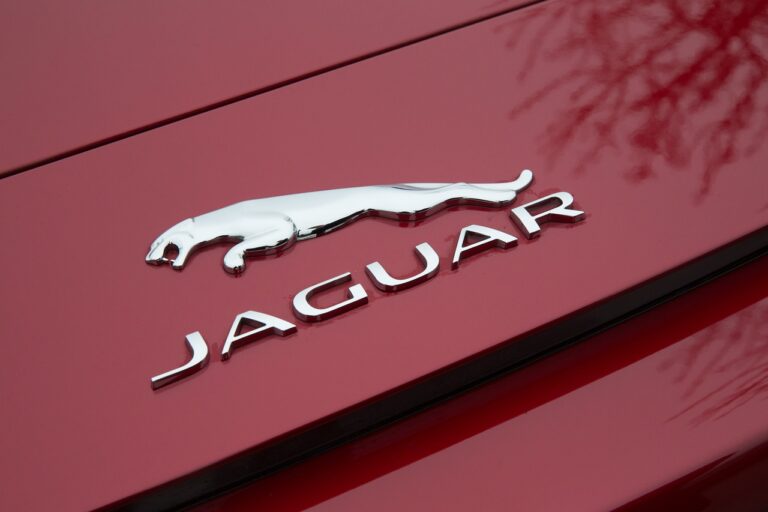 jaguar na masce